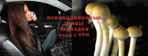 шишки Володарск