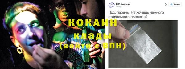 шишки Володарск