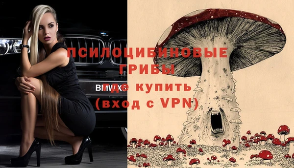 шишки Володарск