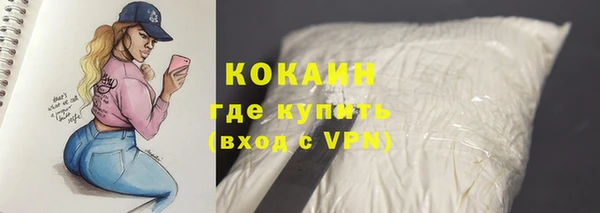шишки Володарск